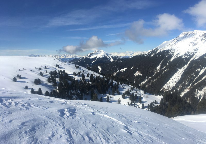 Obereggen Val di Fiemme ski resort off-piste terrain