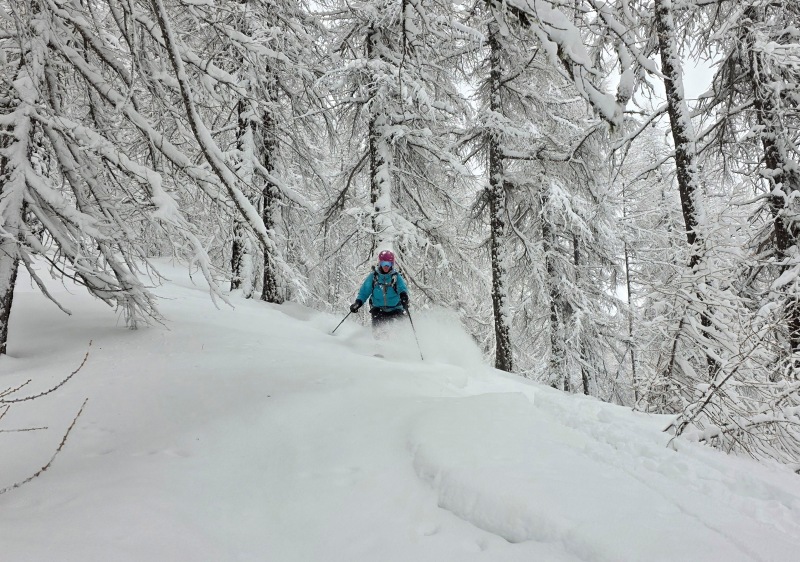 Via Lattea tree skiing