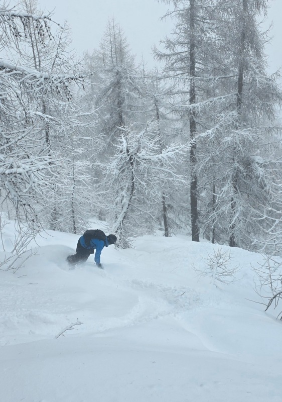 Freeride powder Sestriere
