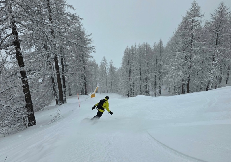 Piste powder below Motta, Sestriere