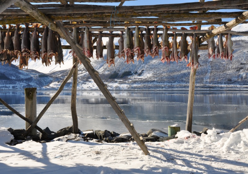 Ski Norway Norwegian Ski Resorts Skiing & Snowboarding in Norway