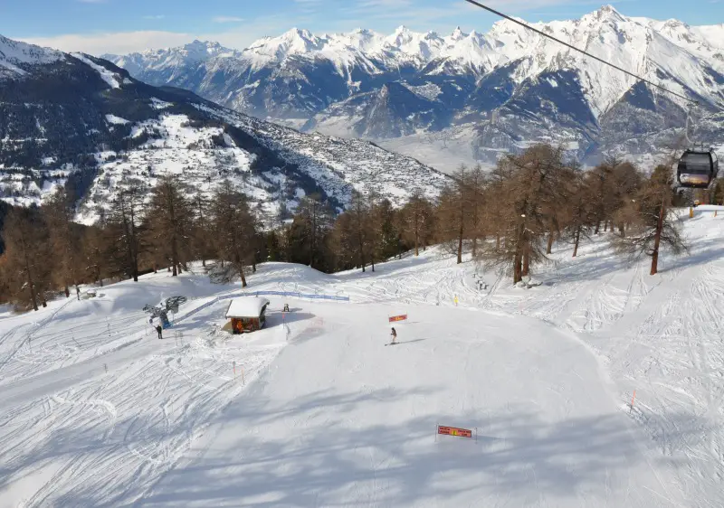 Larch forest lines perfect piste near Veysonnaz at 4 Vallées ski resort Switzerland