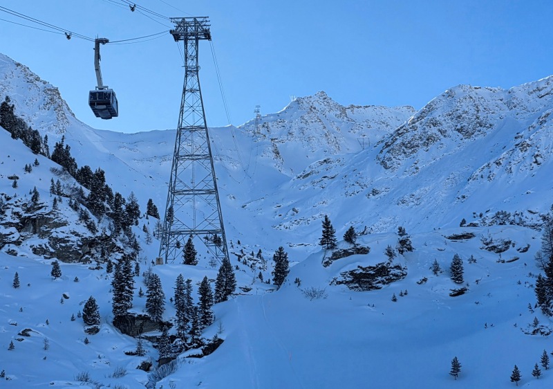 Tortin - Gentianes