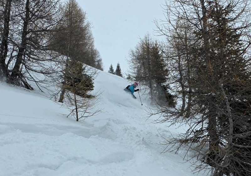 Steep Bruson powder