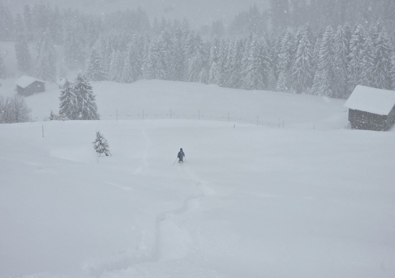 Untracked last run of the day!