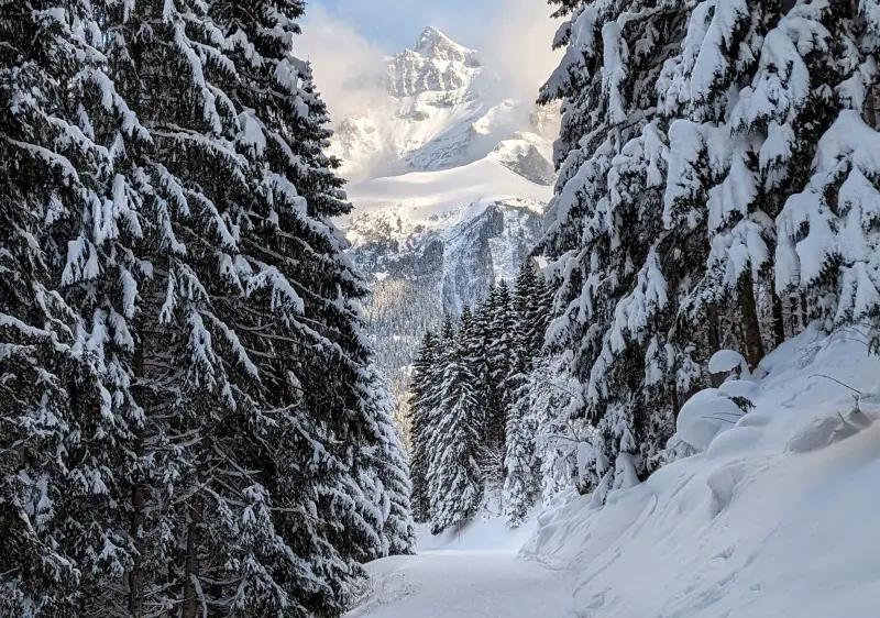 Champéry - Les Crosets ski resort, Portes du Soleil Switzerland
