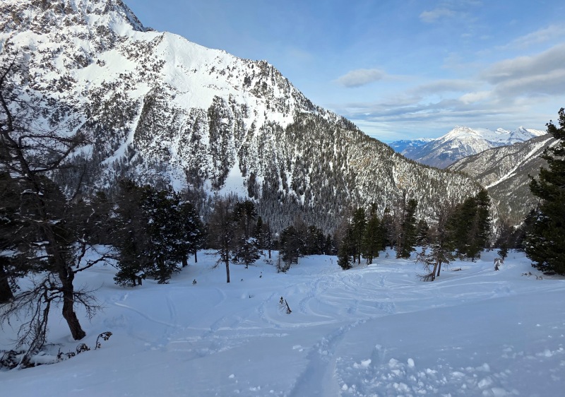 Open glades