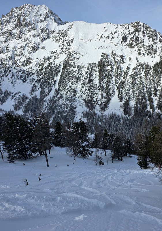 Open lines in the trees