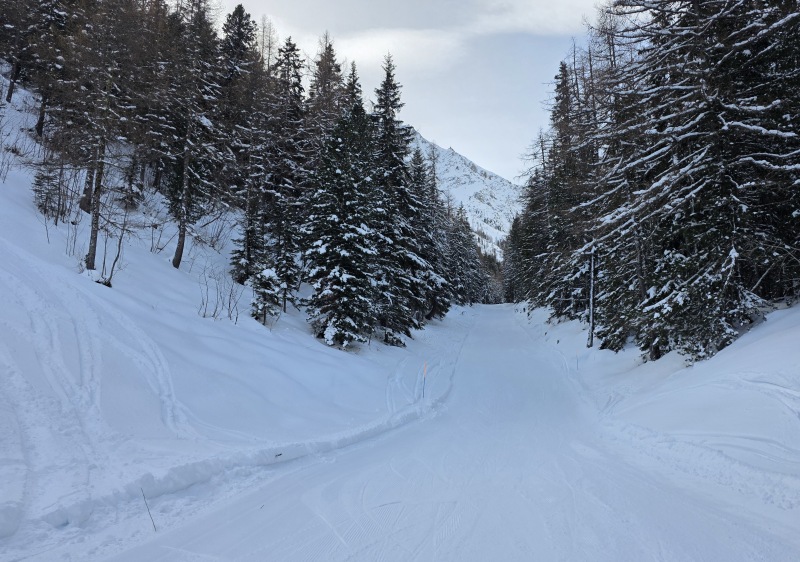 Piste 1 below the treeline