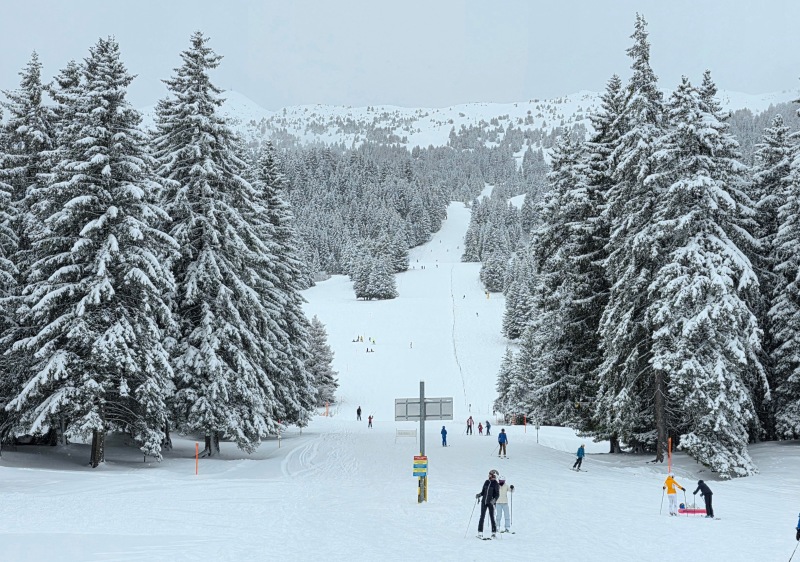 Lower mountain pistes