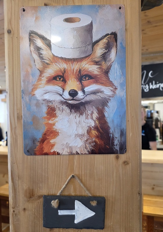 Foxes need to poo too!