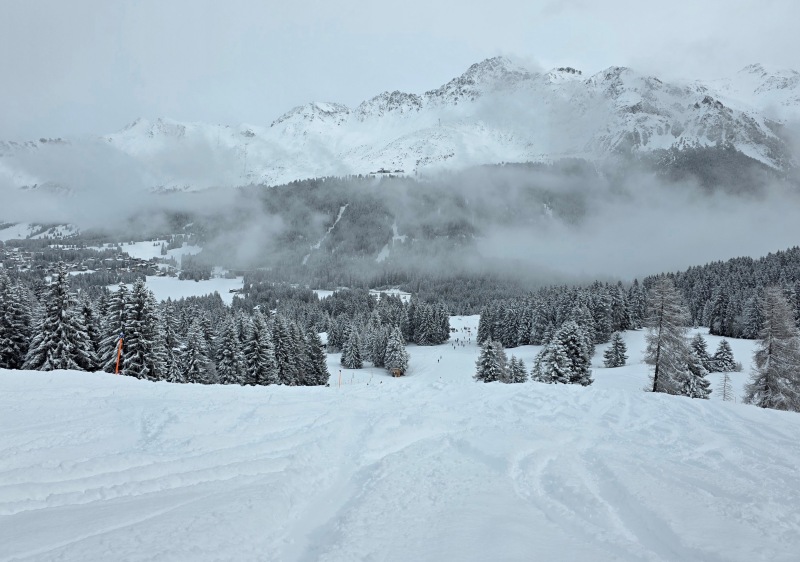 Piste & powder