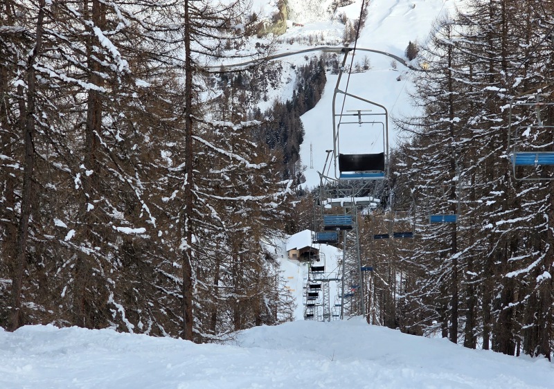 Lower chairlift line in larch forest