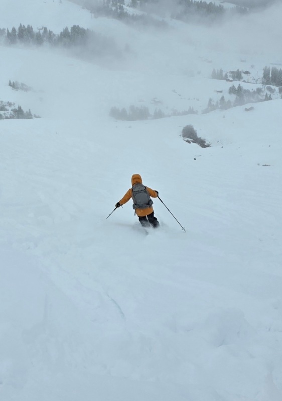 Powder skiing below Stein