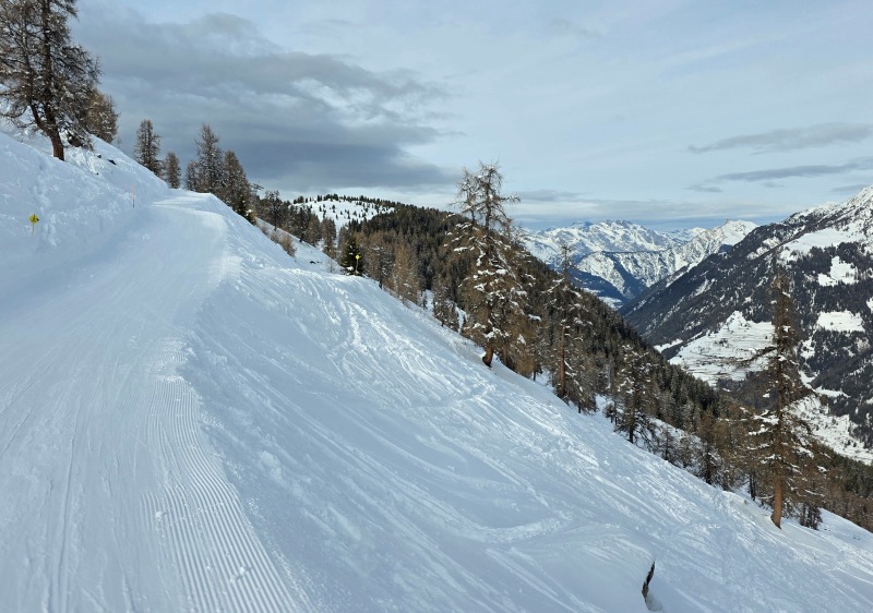 Larch trees & off-piste powder at Vicheres Liddes