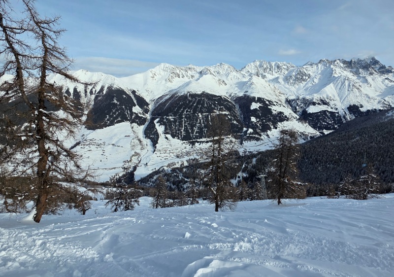 Liddes larches