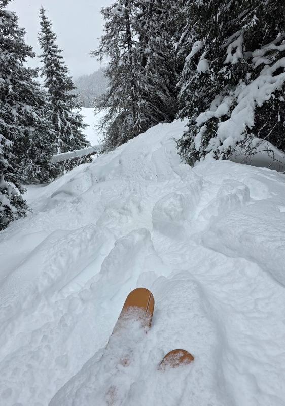 Freeride adventuring!