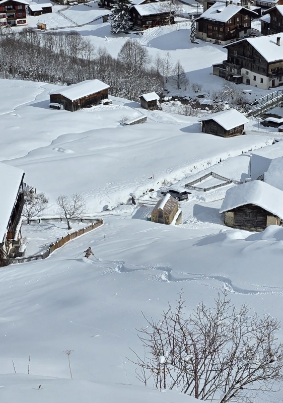 Vals powder skiing near the village