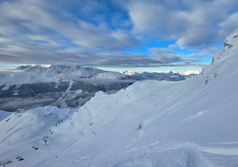More Attelas freshies