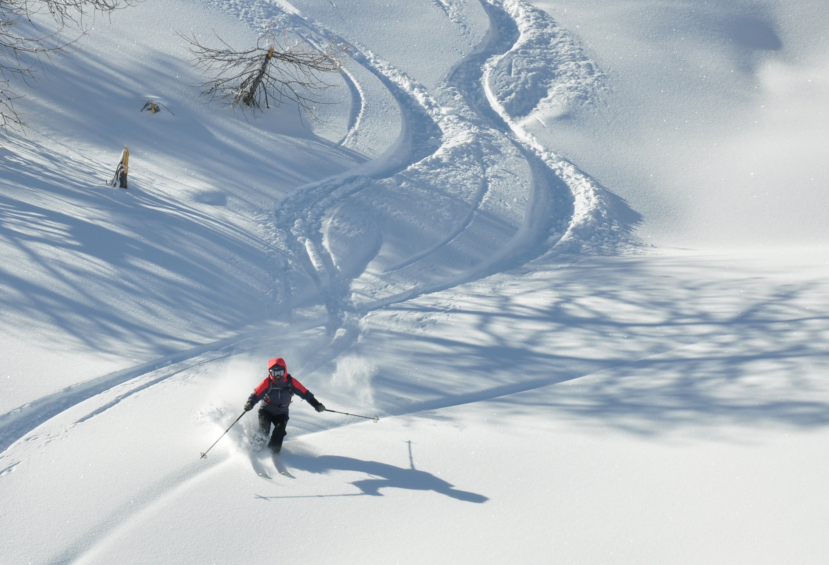 La Grave - Serre Chevalier - Sestriere Powder Ski Safari