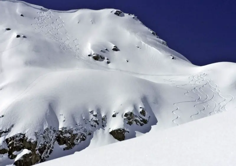 Tarentaise Powder Ski Safari