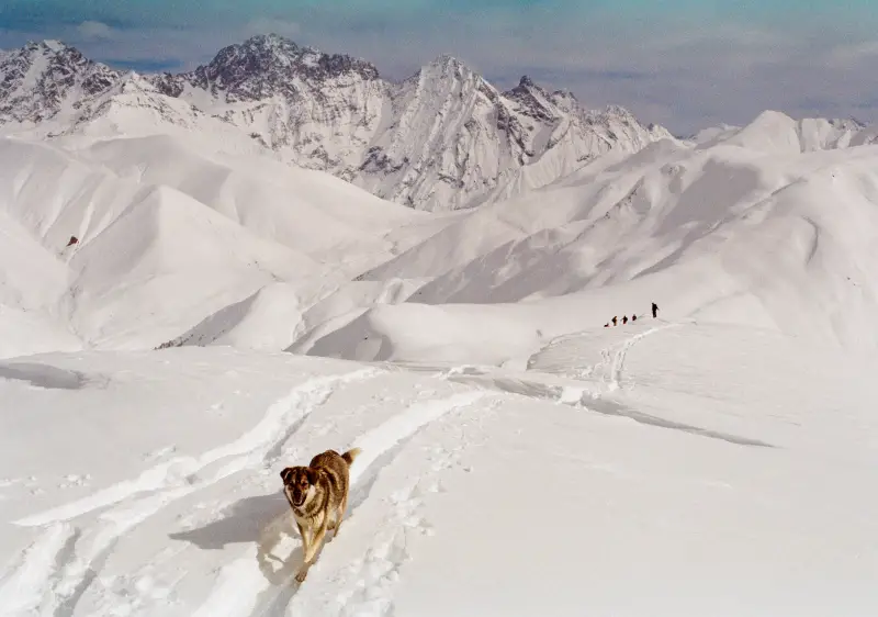 Svaneti & Goderdzi Ski Safari Tour, Georgia