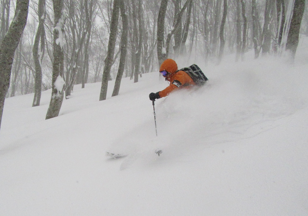 Aomori Spring Ski Resort Japan Review