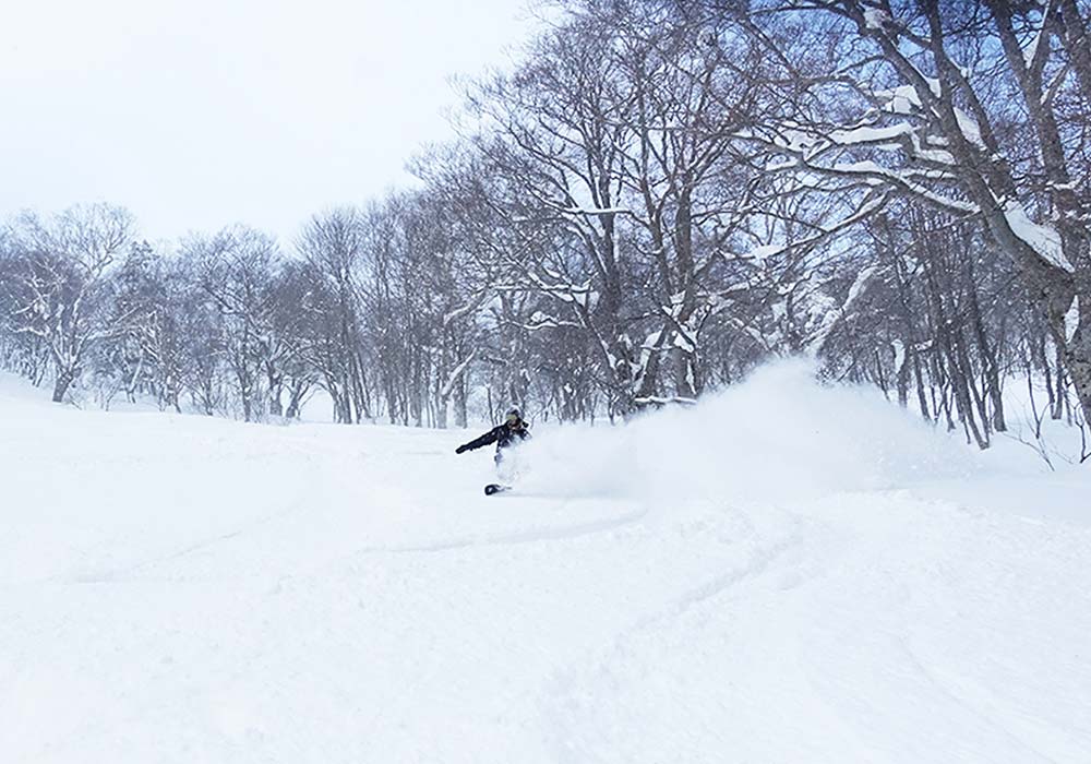 Appi Kogen Ski Resort Appi Japan Skiing Ratings