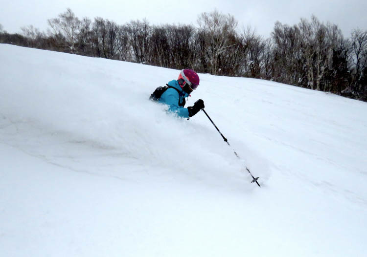 Japan Cat Skiing Hokkaido Cat Skiing