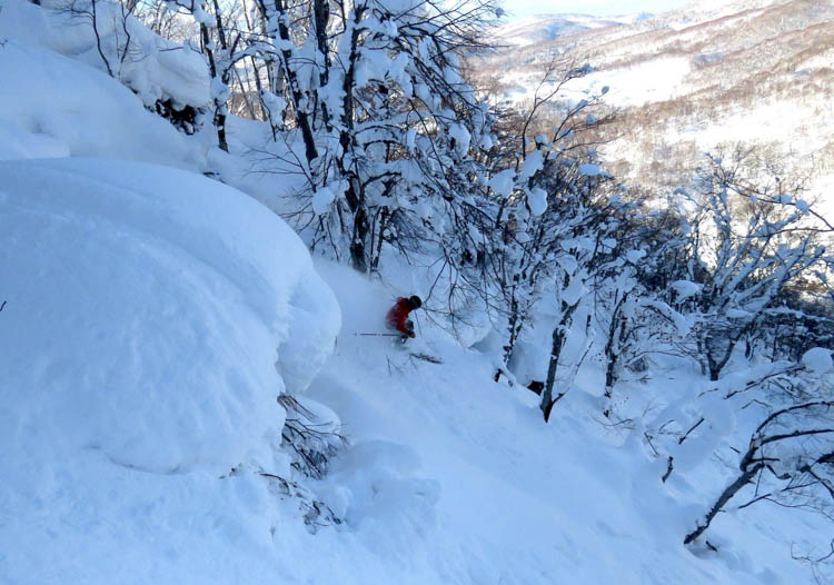 Japan Cat Skiing Hokkaido Cat Skiing