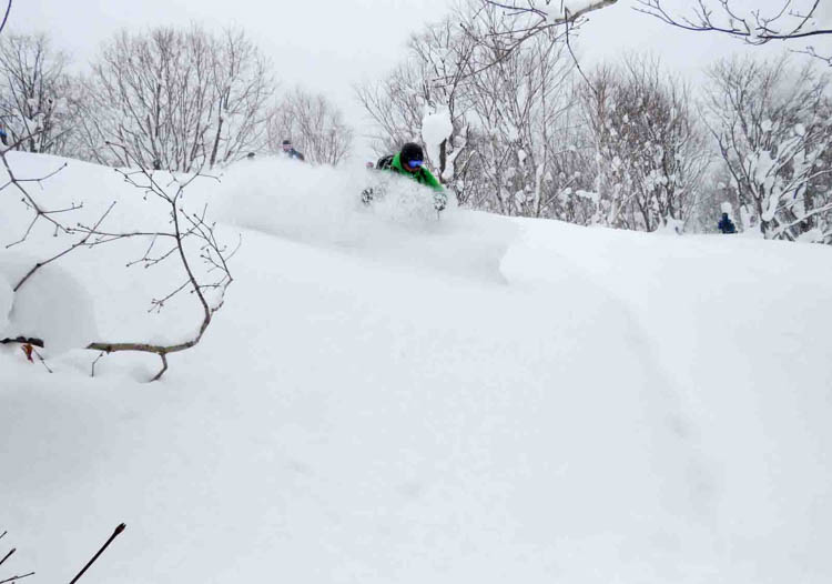 Japan Cat Skiing Hokkaido Cat Skiing