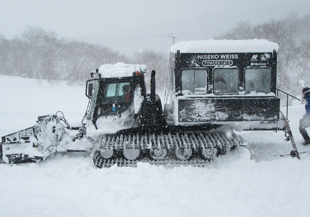 Niseko Weiss Cat Skiing 