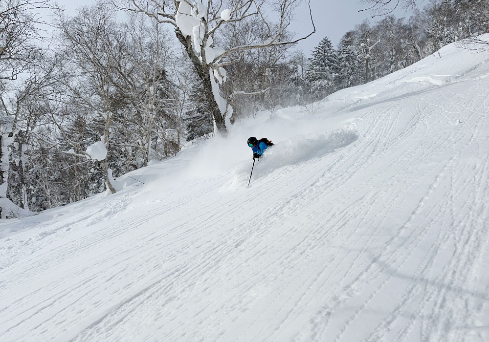 Furano Ski Tours Furano Activities, Things to Do