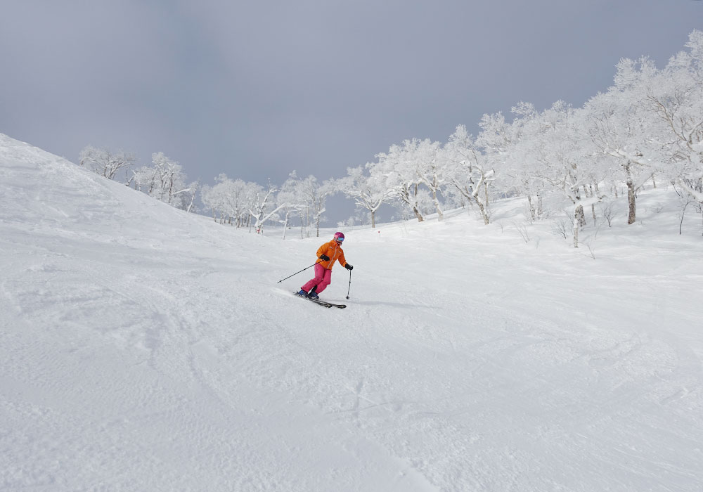 Ski Furano Furano Skiing, Snowboarding Review