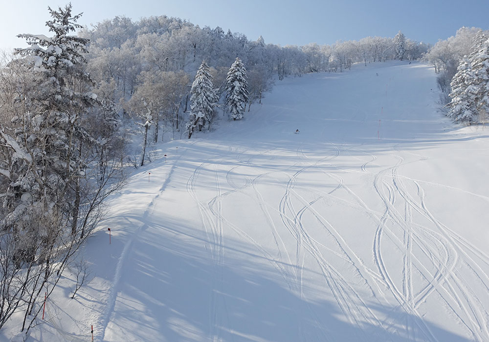 Ski Furano Furano Skiing, Snowboarding Review