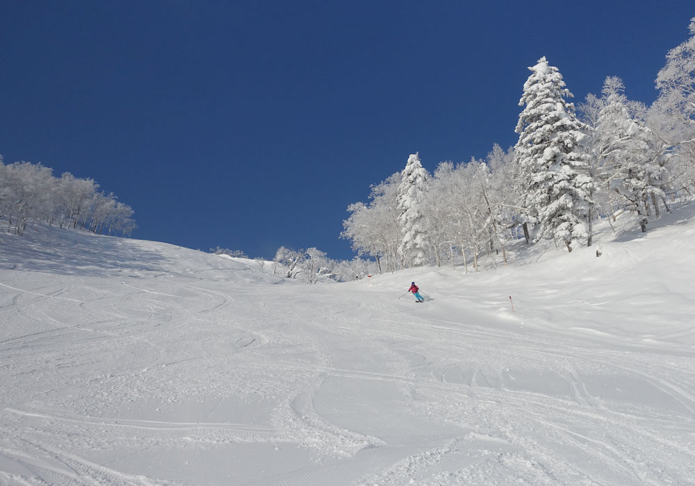 Ski Furano Furano Skiing, Snowboarding Review