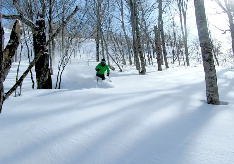 Classic Gunma snow