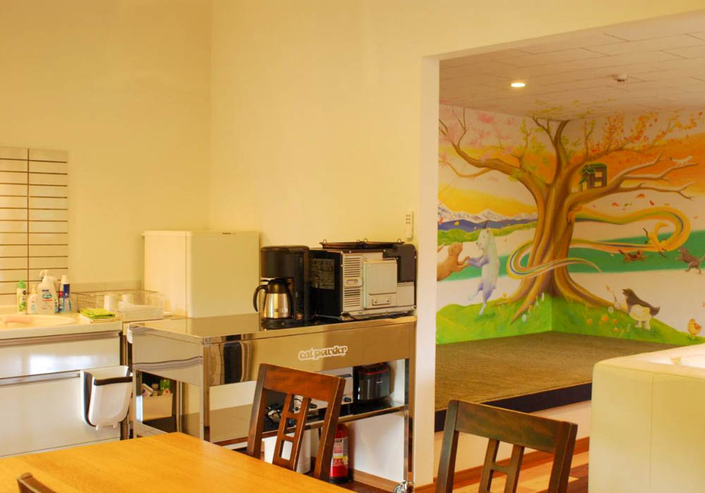 Hieda Sanso Hakuba Cortina