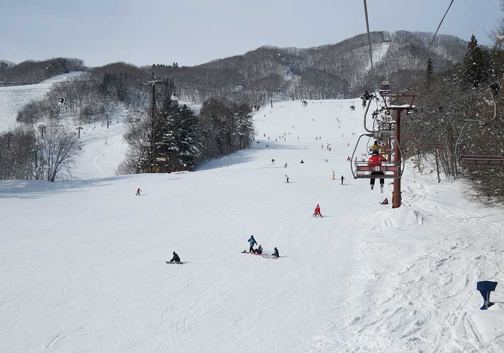 Hakuba Japan Hakuba Ski Resort Reviews