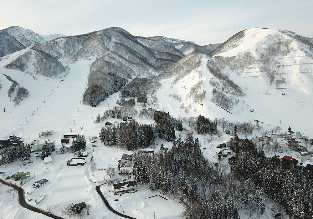 Hakuba Japan Hakuba Ski Resort Reviews