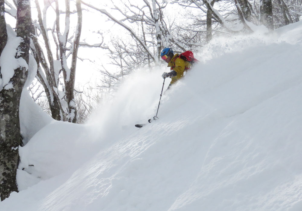 Hakuba Japan Hakuba Ski Resort Reviews