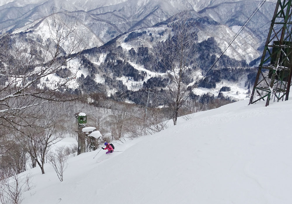 Hakuba Cortina Ski Resort Cortina Japan Review