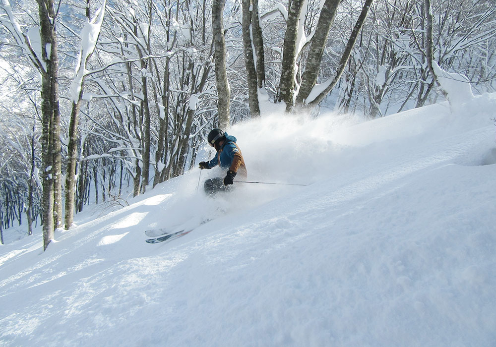 Ski Cortina Hakuba Snow, Terrain Ratings