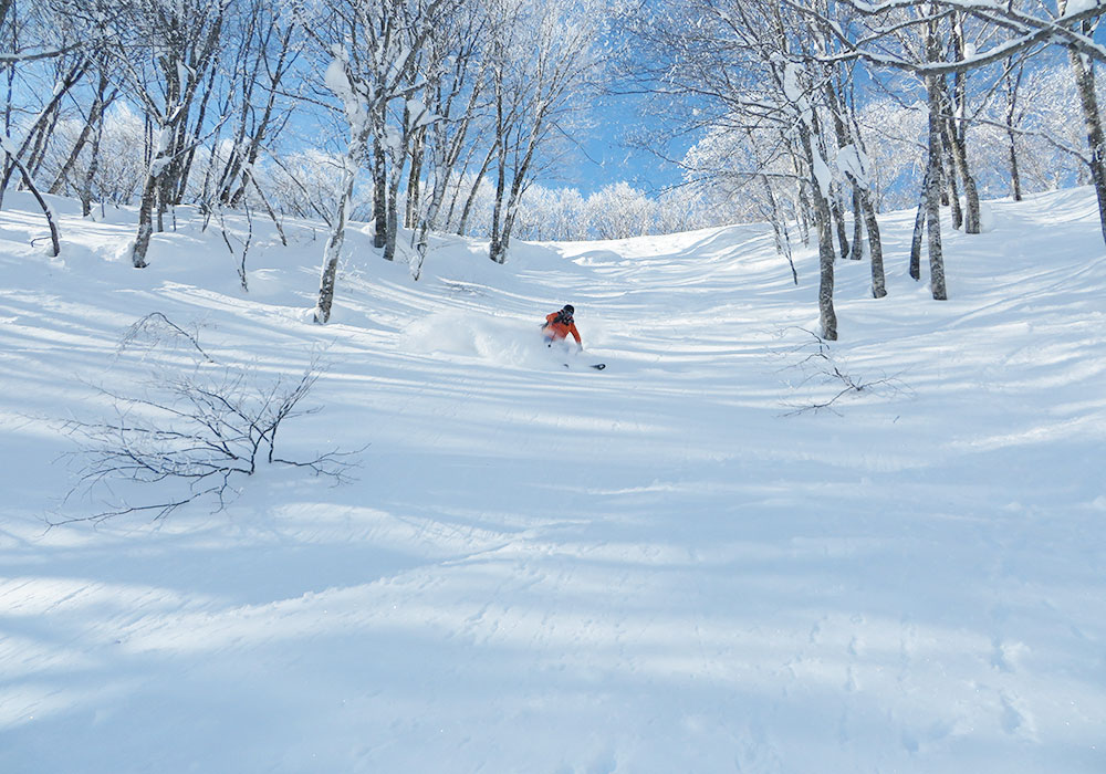 Ski Cortina Hakuba Snow, Terrain Ratings
