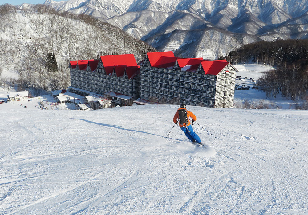 Ski Cortina Hakuba Snow, Terrain Ratings