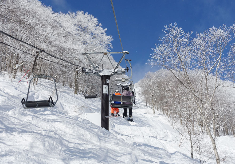 Ski Cortina Hakuba Snow, Terrain Ratings