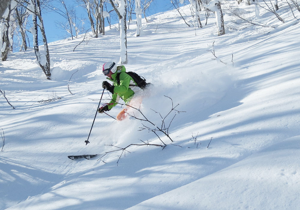 Ski Cortina Hakuba Snow, Terrain Ratings