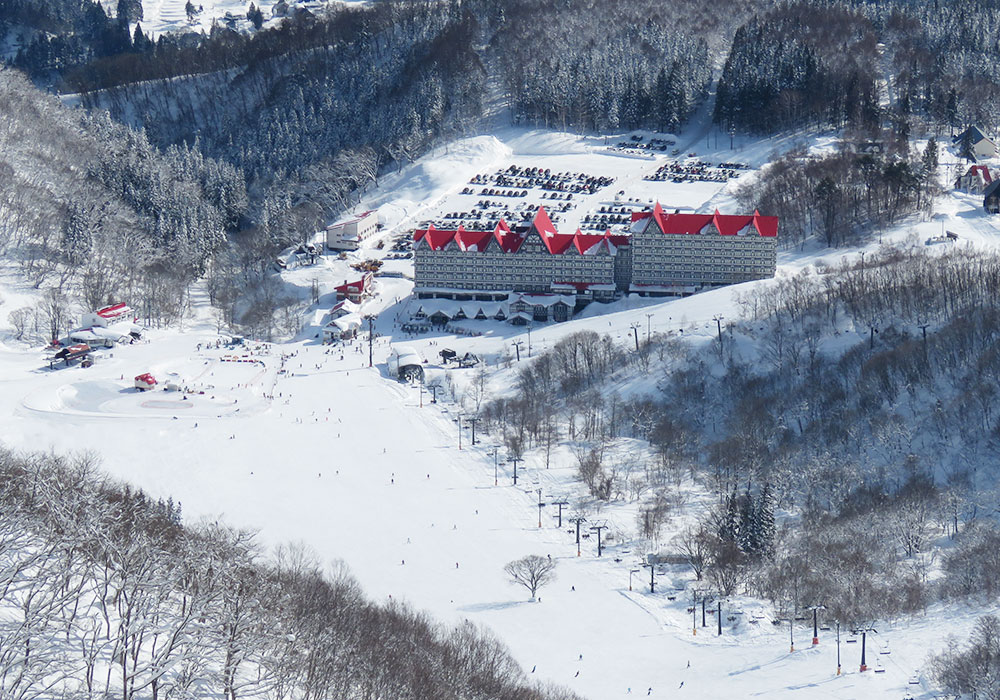 Ski Cortina Hakuba Snow, Terrain Ratings