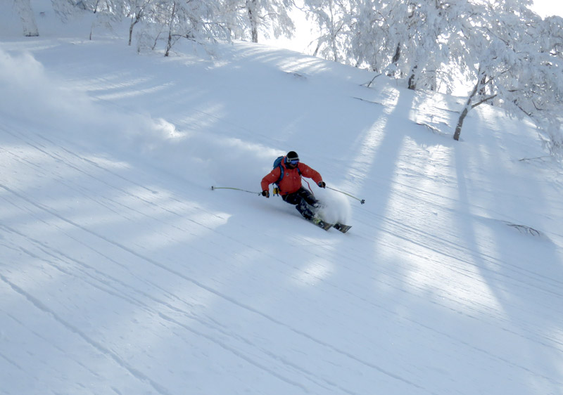 Heli Skiing Japan Niseko Heli Skiing