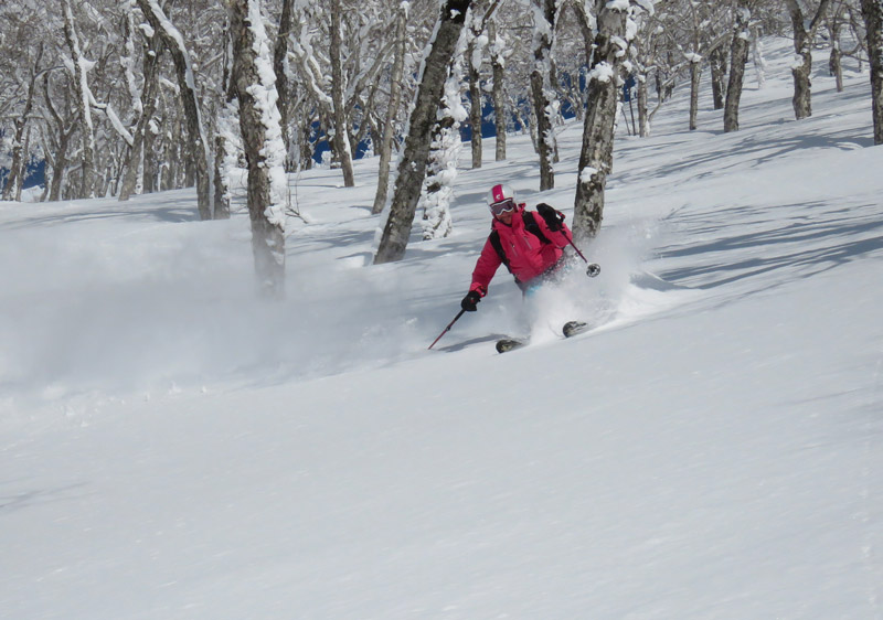 Heli Skiing Japan Niseko Heli Skiing